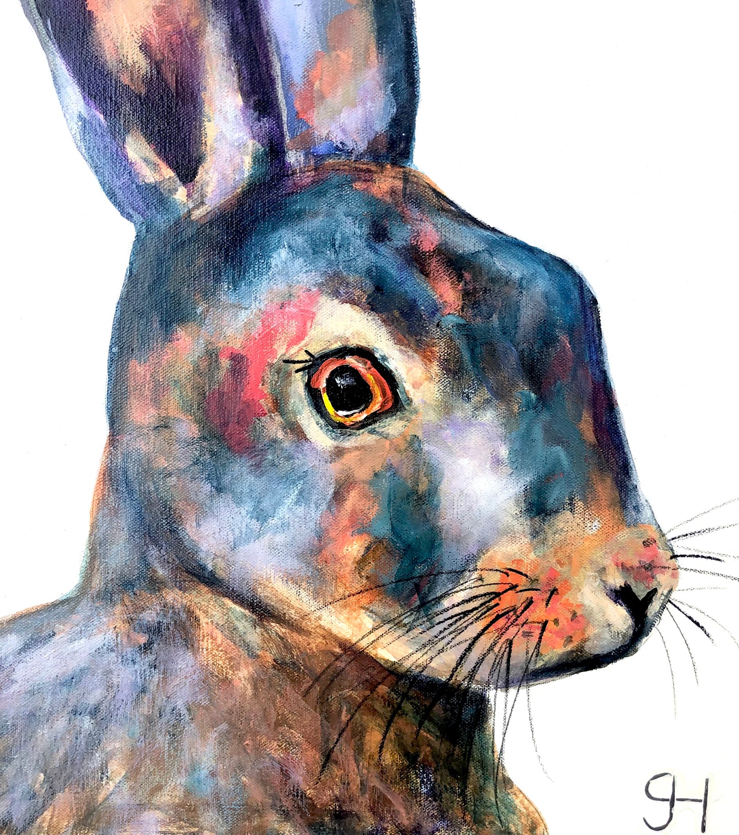 Horace the hare.